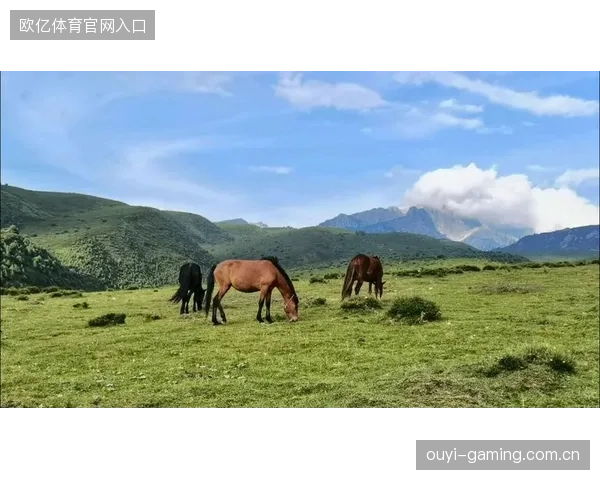 高原牧马节激战，登山运动逐步走向国际舞台，牧马山在哪儿